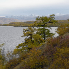 Осень на  тувинском озере Кара-Холь
