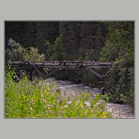 Тува. Старый заброшенный мост в тайге